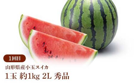 ≪2026年先行予約≫ 全3回 やまがた 真夏のみちのくフルーツ定期便 FSY-2384