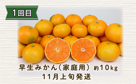 みかん定期便 全3回 陽だまりミカン 家庭用 みかん定期便 B045-050005