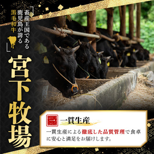 ＜定期便・全3回(連続)＞黒毛和牛の赤身牛肉コース(すき焼き、焼肉、ステーキ)  国産 九州産 鹿児島県産 牛肉 黒毛和牛 和牛 赤身 ステーキ 定期便 頒布会 毎月 すき焼き しゃぶしゃぶ 冷凍【さつま屋産業】_y443-B