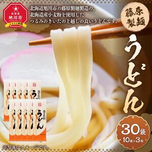 藤原製麺製造 うどん 乾麺_03483