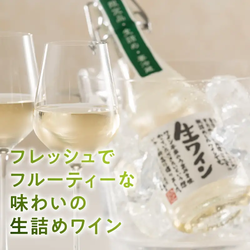 ワイン 生ワイン 白 500ml（MTS）A09-638