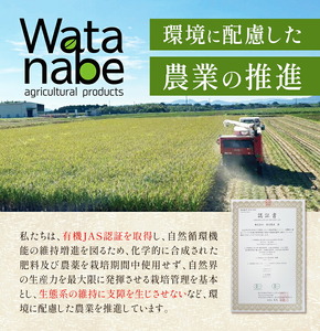 令和7年産 有機JAS 七城産ひのひかり 精米 5kg 渡辺農産熊本県 菊池市 米 お米 精米 ひのひかり 菊池市産 熊本県産 九州産 送料無料《30日以内に出荷予定(土日祝除く)》