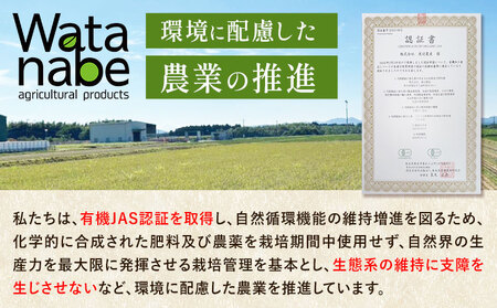 有機JAS もち麦 合計1kg 200g×5袋 渡辺農産 《90日以内に出荷予定(土日祝除く)》 熊本県 菊池市 もちむぎ ダイシモチ 国産 九州産 熊本県産