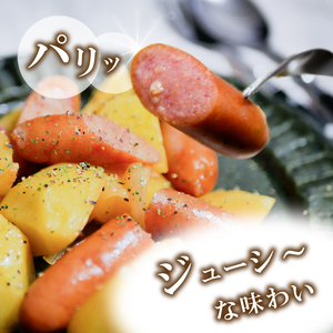 ウインナー 約 2.4kg ( 800g × 3パック ) 【BJ009】ウインナー ウインナー ウインナー ウインナー ウインナー