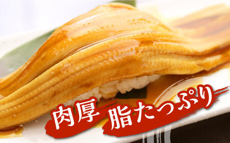 対馬産 西のとろあなご にぎり寿司 3PAC  穴子 すし  [WAV013]