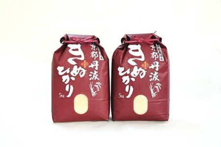 【3回定期便】 京丹波きぬひかり 10kg×3カ月連続 合計30kg 令和7年産  [054MB002R]