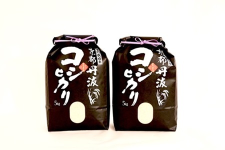 【12回定期便】 京丹波こしひかり 10kg×12カ月連続 合計120kg 令和7年産 [216MB001R]