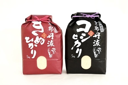 【12回定期便】 京丹波こしひかり きぬひかり 食べ比べセット 10kg×12カ月連続 合計120kg 令和7年産 [216MB003R]
