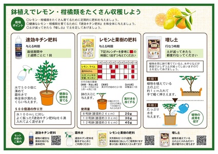 a12-192　レモン・果樹栽培資材セット