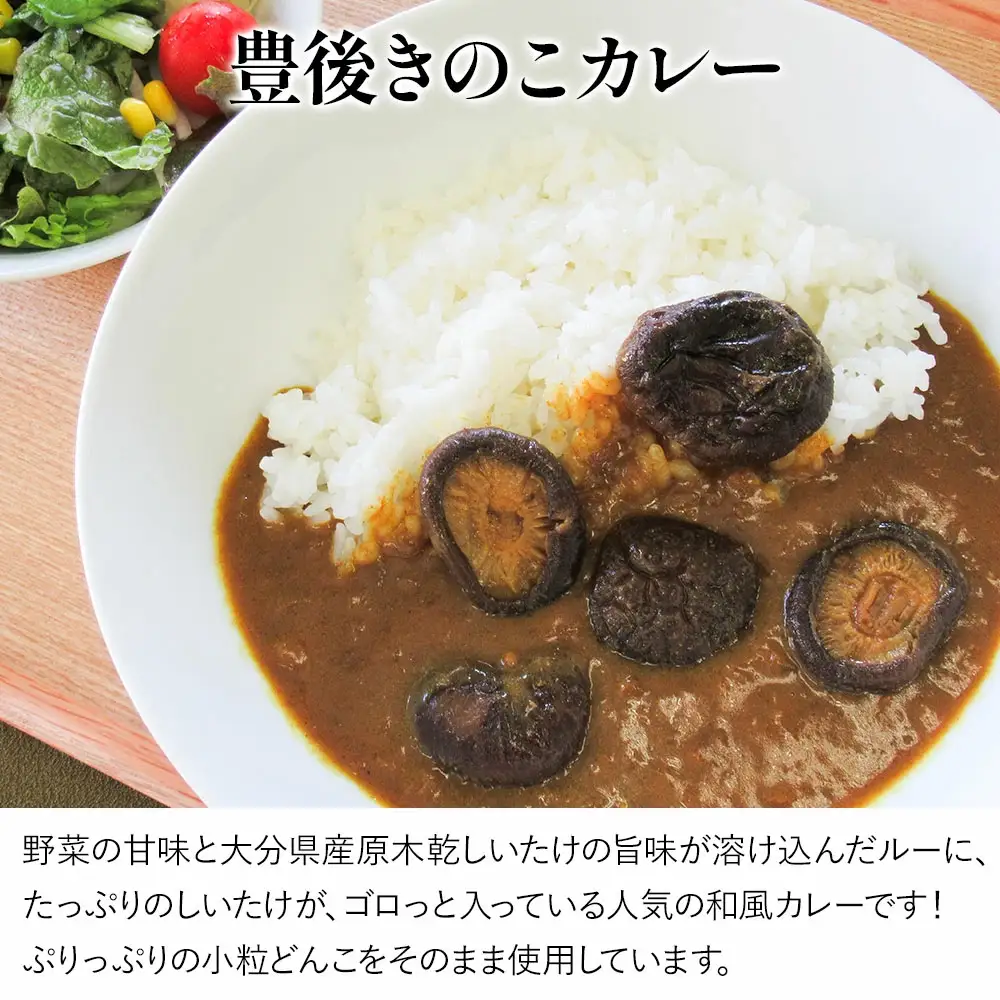 豊後 きのこ カレー 9袋 レトルト カレー 中辛 タイプ | 津久見市