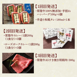12ヶ月 定期便 肉 高級肉 常陸牛 Aコース  肉のイイジマ（DU-111）