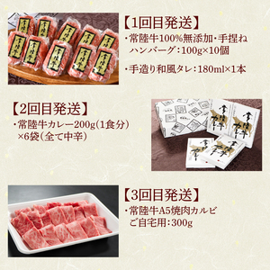 12ヶ月 定期便 肉 常陸牛 Bコース  肉のイイジマ（DU-112）