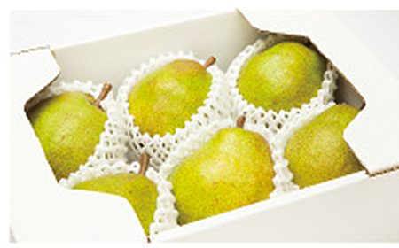 FYN9-915 ≪2026年先行予約≫山形県産 西洋梨 ラ・フランス 約2kg (6～7玉)秀品 2026年11月中旬から順次発送 洋梨 洋なし ラフランス 秋果実 果物 くだもの フルーツ ギフト 産地直送 山形県 西川町 月山