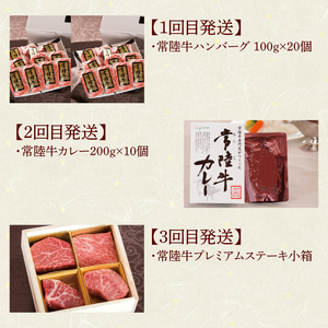 12ヶ月 定期便 肉 常陸牛 Cコース 肉のイイジマ（DU-113）