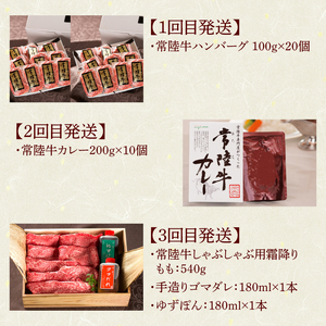 8ヶ月 定期便 肉 常陸牛 Aコース 肉のイイジマ（DU-114）