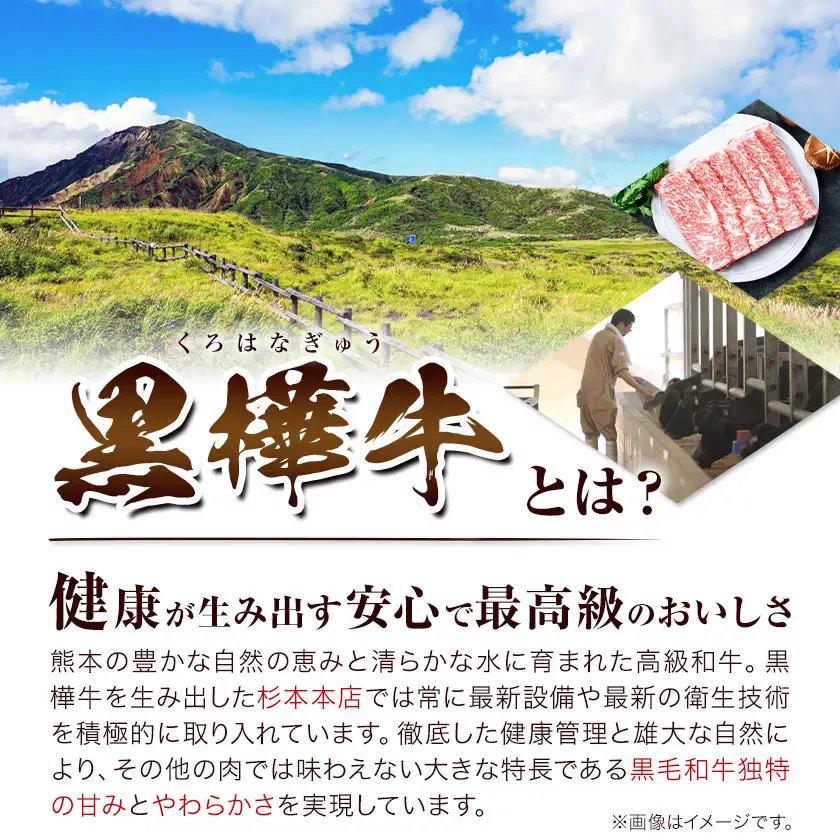 くまもと黒毛和牛 黒樺牛 A4～A5等級 肉厚サーロインステーキ 600g 株式会社杉本本店 《90日以内に出荷(土日祝除く)》熊本県 菊池市 特大 牛肉 牛 肉厚 お肉 ステーキ 黒毛和牛 国産 九州産 熊本県産 冷凍 送料無料