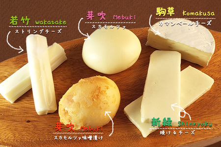 雫石チーズ工房 ふるさと納税 セット【7種】 チーズ 乳製品 ストリング ストリングチーズ さけるチーズ フレッシュチーズ スカモルツァ 焼けるチーズ 焼くチーズ カマンベールチーズ 味噌漬け みそ漬け 熟成 熟成チーズ 手づくり 手作り おつまみ おやつ トッピング 人気 プレゼント ギフト プチギフト 贈り物 おすすめ