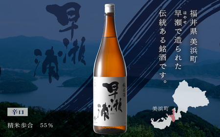 早瀬浦 純米酒 1800ml × 1本 【入手困難 日本酒 就職祝い 転職祝い ハレの日 ギフト プレゼント お祝い お返し お礼 お中元 お歳暮 父の日 敬老の日 】[m06-a014]