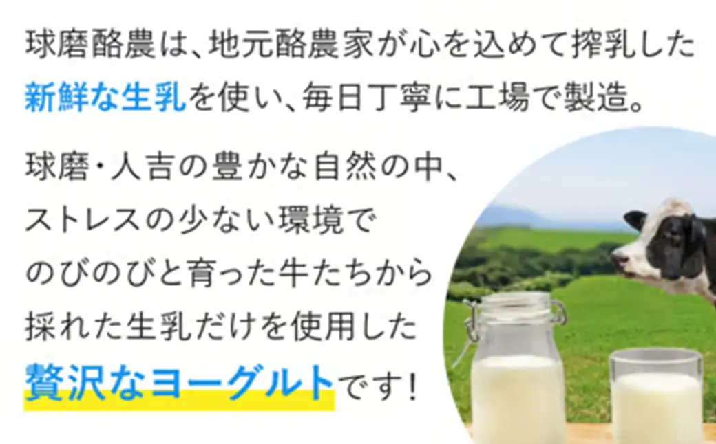 球磨の恵み ヨーグルト 2kg 加糖 まとめ買い 大容量 熊本県 水上村