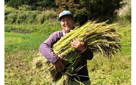 令和7年産「ミルキークイーン」新潟県上越産 玄米10kg(1袋)