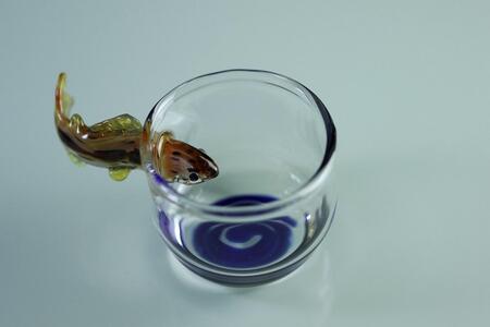 あまご ぐいのみ