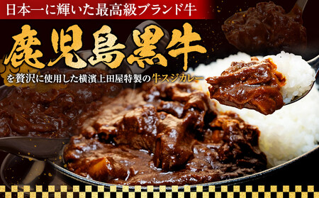 横濱上田屋謹製　肉屋のこだわり牛スジカレー8個（調理済み） AEJ0026