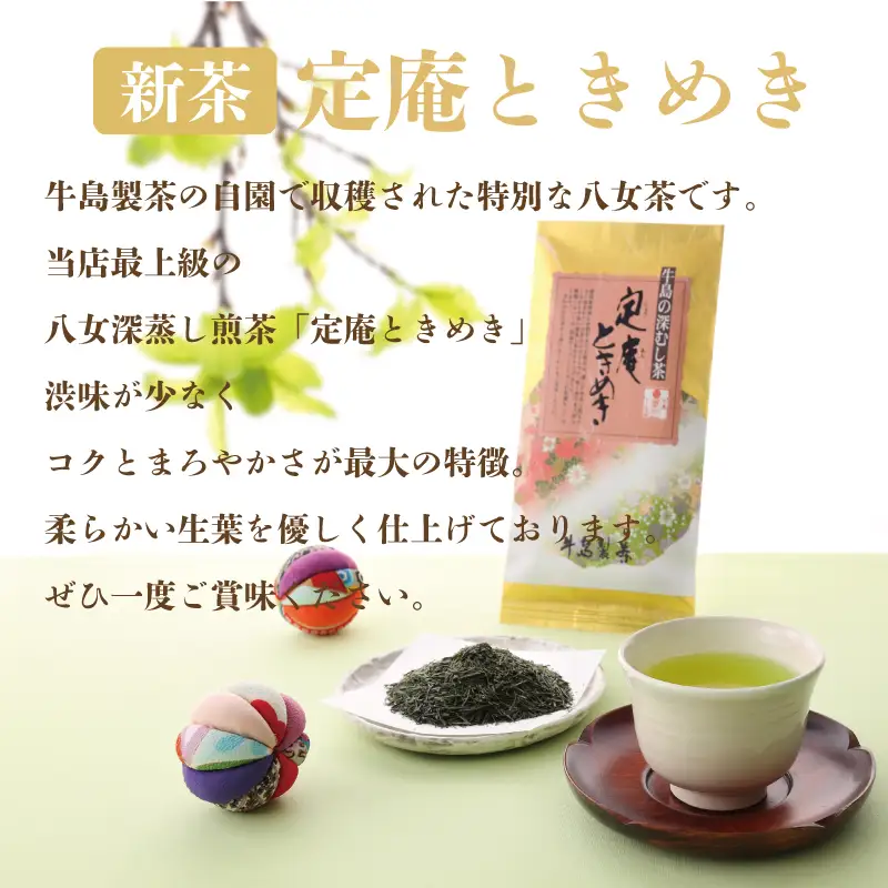 【新茶】【ギフト対応可能】2026年新茶をお届け!! 極上八女深蒸し煎茶セット お茶 緑茶  八女茶 茶葉 国産 新鮮 産地直送 産直 プレゼント ラッピング 包装 贈り物 福岡県 八女市 028-011