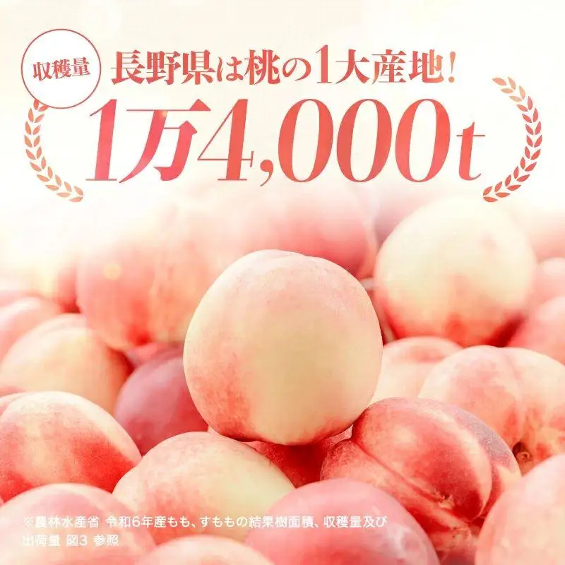 アルプス 信州産 ももストレート缶ジュース 160g×16本 | 桃  白桃 もも 桃ジュース ジュース ピーチジュース セット アルプス ストレート ストレートジュース 160g 果汁飲料 長野県産 信州 塩尻市 長野県