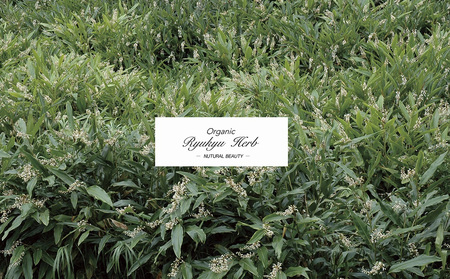 丸海きあらマウススプレー【スプレー&詰め替えボトルセット】