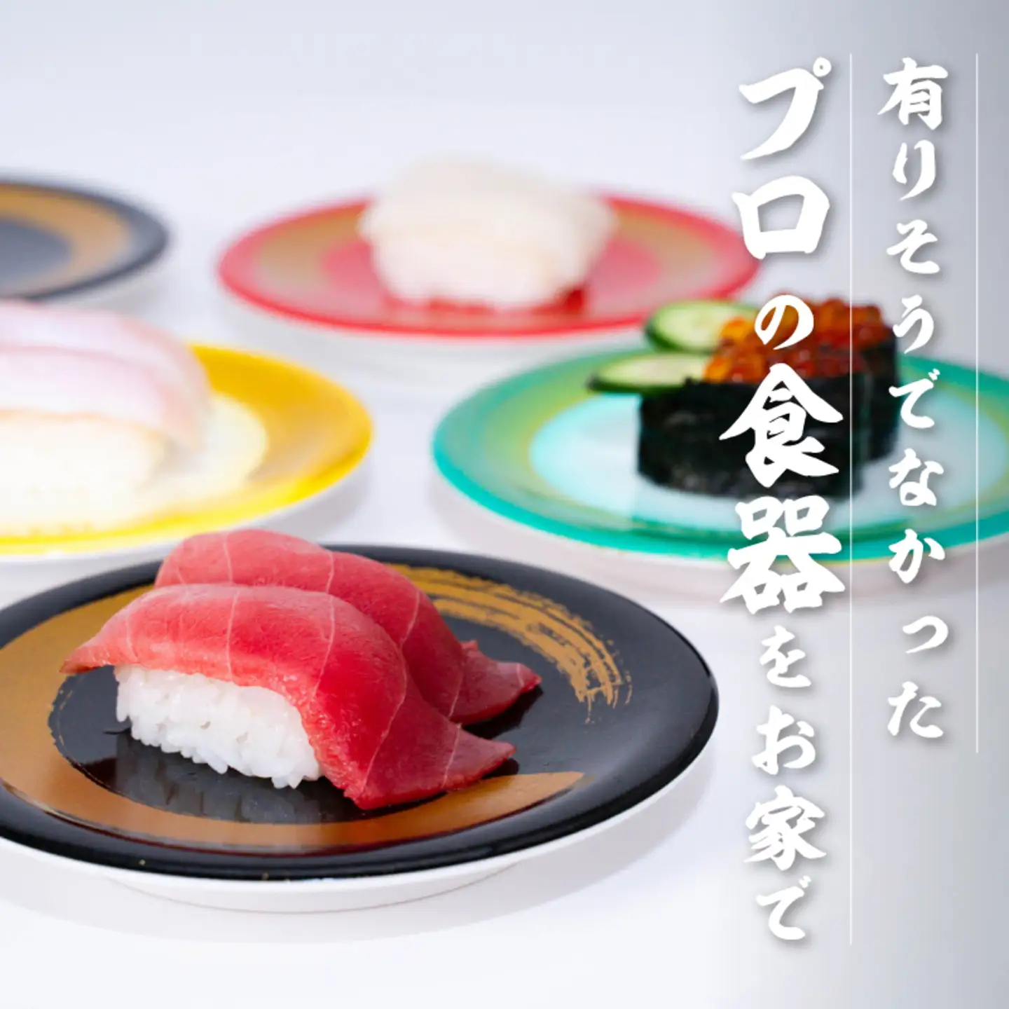 寿司皿10枚セット