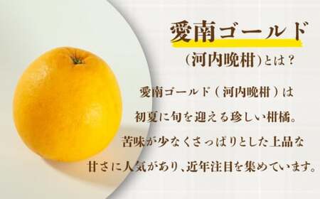 【訳あり】 愛南ゴールド 約7.5kg 柑橘 フルーツ みかん 河内晩柑 