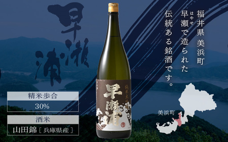 入手困難 早瀬浦 純米大吟醸 山田錦 1800ml × 1本 【入手困難 日本酒 就職祝い 転職祝い ハレの日 ギフト プレゼント お祝い お返し お礼 お中元 お歳暮 父の日 敬老の日】[m06-e001]