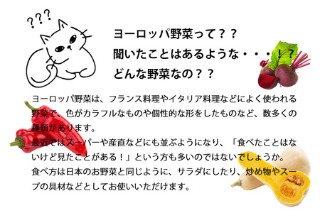 【 2026年 9月より順次発送】 野菜ソムリエ “産直松の実の松原店長” 厳選 ！ ヨーロッパ 野菜 BOX 8品 ／ 人気 産直 採れたて 新鮮野菜 季節野菜 夏野菜 国産 産地直送 期間限定 数量限定 仕送り 詰合わせ 詰め合わせ 詰め合せ 詰合せ セット おすすめ 予約 予約受付 早期予約