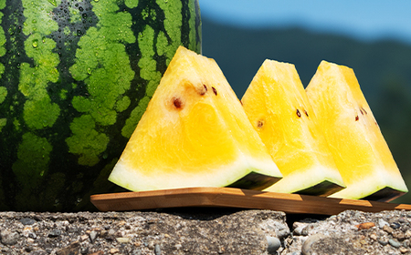 尾花沢産スイカ すいか 金色羅皇 5Lサイズ 約10kg×1玉 令和8年産 kb-sukr51