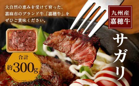 嘉穂牛 サガリ 約300g 数量限定 ブランド牛 牛肉