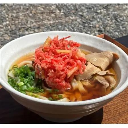 【たいきうどん】お食事券600円券×5枚_旅行券・チケット 食事券  _【1470570】