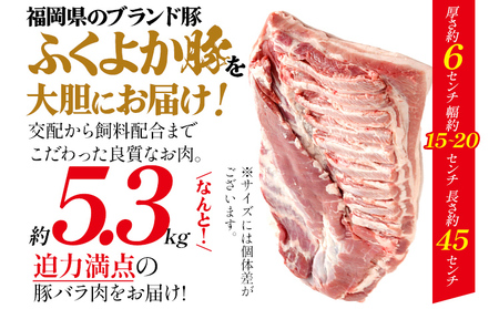 豚肉 バラブロック 約5.3kg 豚肉