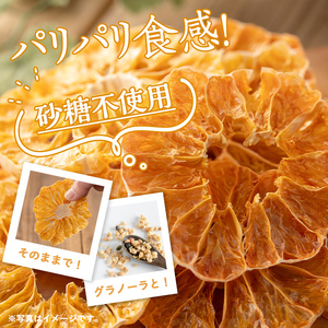 isa568 《数量限定》ドライフルーツボンタン「そのまんまドライしました。」(計4袋・各20g) ドライフルーツ ボンタン 砂糖不使用 小分け 手づくり ギフト 加工食品 果物 フルーツ ハンドメイド ギフト【薩摩美食倶楽部】