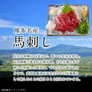 熊本県産馬刺しセット約300ｇ（霜降り100ｇ・赤身200ｇ） ※タレ、生姜付 _U118-0006