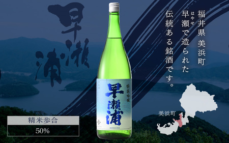 早瀬浦 特撰吟醸酒 1800ml × 1本 【入手困難 日本酒 就職祝い ハレの日 ギフト プレゼント お祝い お中元 お歳暮 父の日 敬老の日 】[m06-a016]