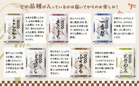 K2485 【令和5年産】※ランダム※ ＜2024年05月内発送＞ お米 10kg 2種 食べくらべ 茨城県産 白米