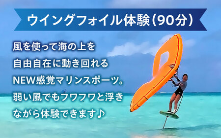 横須賀 津久井浜 Wing Foil (ウイングフォイル) 体験チケット（90分）マリンスポーツ TEARS WINDSURFING SCHOOL ウィンドサーフィン サーフィン リペア 修理 横須賀【ティアーズウインドサーフィンschool】 [AKAN011]