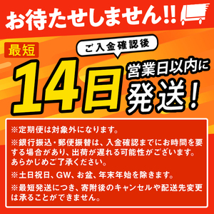 ≪令和7年産≫ つや姫 5kg (5kg×1袋) 登米市産 お米 おこめ 米 コメ 白米 ご飯 ごはん おにぎり お弁当 【登米ライスサービス株式会社】tm147