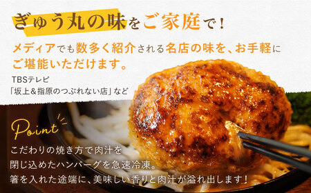 ハンバーグ ぎゅう丸デミシチューハンバーグ4個 NCQ011 