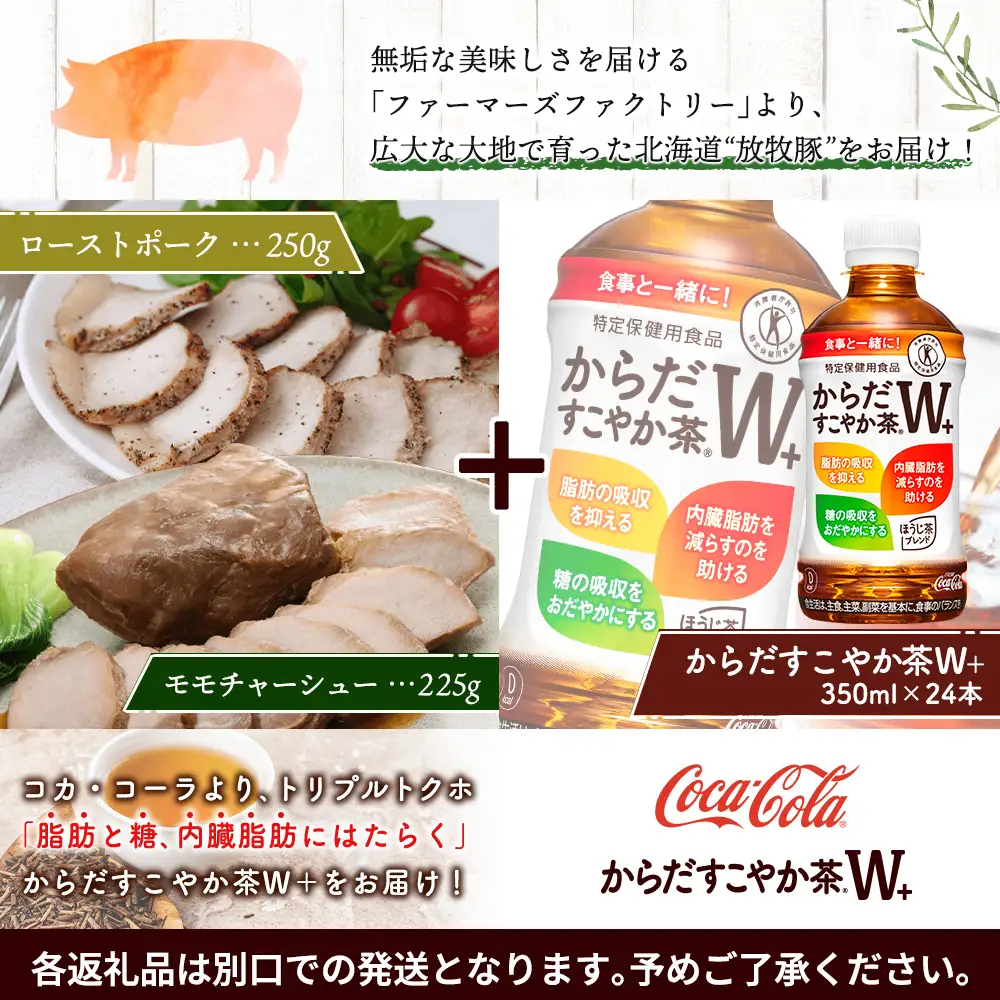 モモチャーシュー＆ローストポークとからだすこやか茶のセット【C99011】