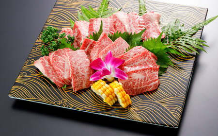 【GI認証】くまもとの あか牛 ロース 焼肉用 500g G59Q