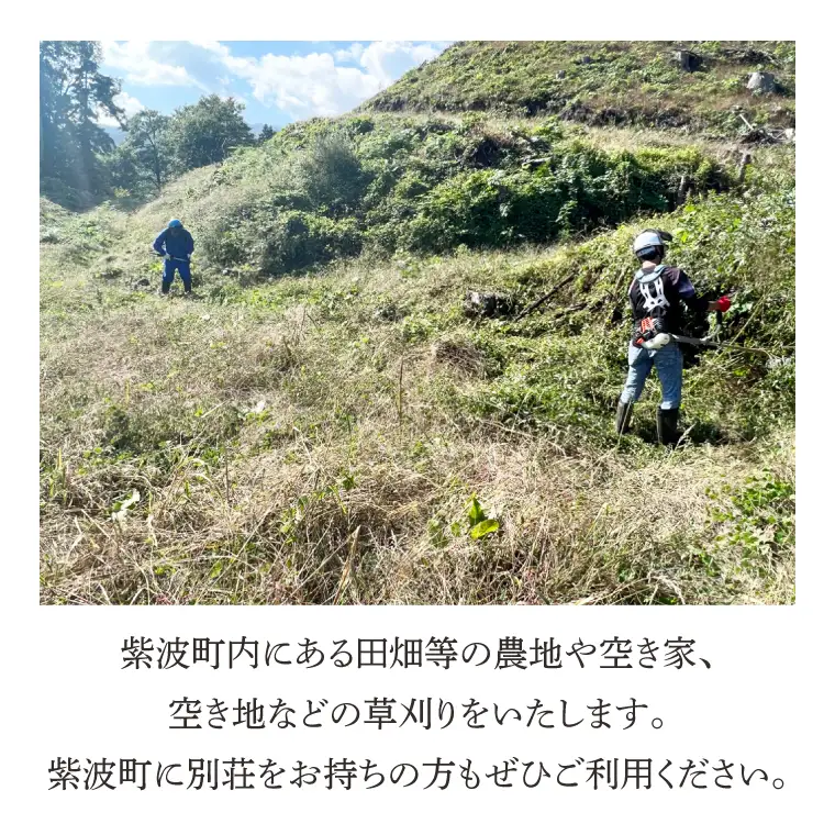 DQ001 【要事前連絡】草刈り、除草作業サービス（農地、空き地、空き家等）