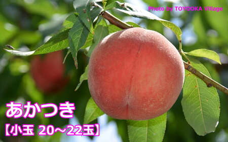 もも あかつき 約5㎏ 桃 小玉