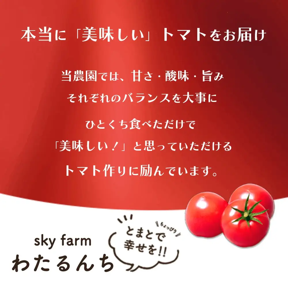 トマト詰め合わせ3点セット　【11218-0714】