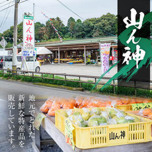 【先行予約】うちのの メロン 1玉 ギフト箱入り 2kg 以上 果物 フルーツ ギフト 【山ん神】 i915